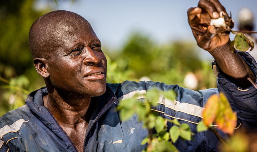 Le projet COMPACI (Competitive African Cotton Initiative)